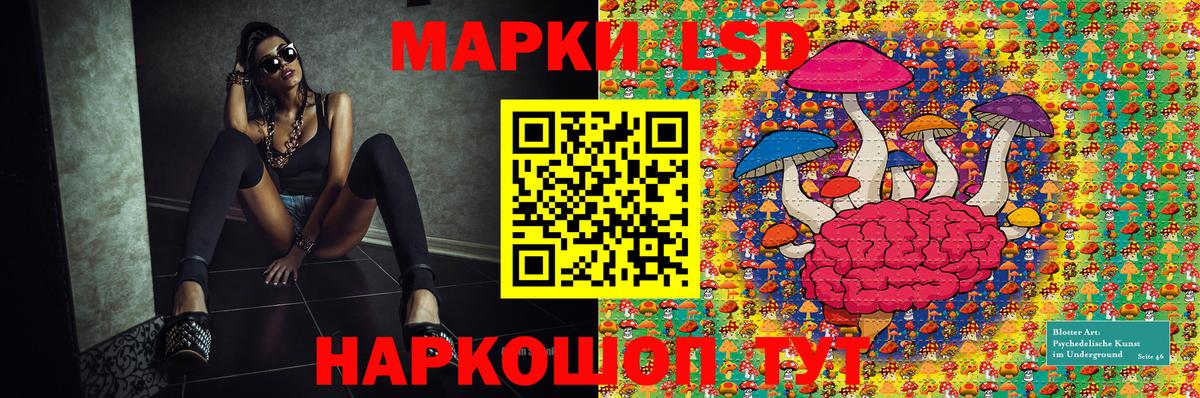 Псилоцибиновые грибы Нальчик