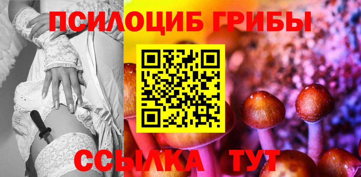 Псилоцибиновые грибы Magic Shrooms  Вход с VPN  Галлюциногенные грибы Magic Shrooms  Нальчик 